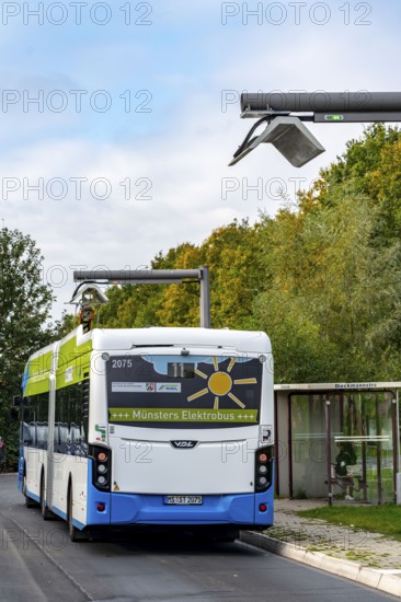 Electric bus from Stadtwerke Münster, at a fast charging station, bus stop, Dieckmannstrasse bus turnaround in Münster Gievenbeck, 16 electric buses are currently running on green electricity in Münster, North Rhine-Westphalia, Germany, Europe