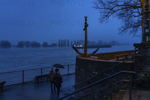 High water on the Rhine at Düsseldorf-Kaiserswerth, foggy weather, riverside paths and Rhine meadows are partly flooded, the Rhine ferry has stopped operating, initial restrictions on shipping apply, Düsseldorf, North Rhine-Westphalia, Germany, Europe