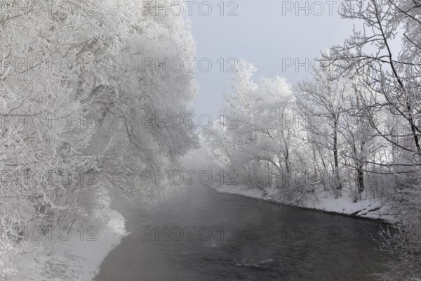 Lake Kochelsee in Bavaria, Germany. River Loisach leaving the lake. Winter, hoar frosted trees standing riverside in fog mixed with sunlight