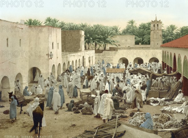 Market in the old town centre of Biskra, Algeria, ca 1890, Historical, digitally restored reproduction from a 19th century original, Record date not stated, Africa