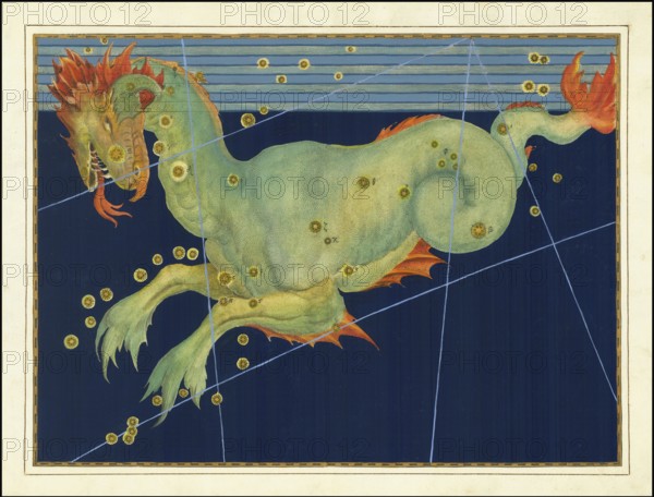 Astronomy. The celestial atlas, the Uranometria, Ptolemaic constellations, by Johann Bayer (1572 - 7 March 1625), German astronomer, Cetus, whale, constellation in the vicinity of the celestial equator, digitally enhanced reproduction of a historical original