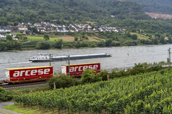 Upper Middle Rhine Valley, railway line on the right bank of the Rhine, goods train line, up to 400 freight trains run here within 24 hours, on both sides, through the Rhine Valley, directly through villages and close to buildings, vineyard, near the village of Lorch, Hesse, Germany, Europe