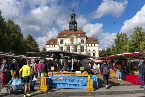 The old town centre of Lüneburg, central market square, town hall, with medieval gabled houses, Lower Saxony, Germany, Europe