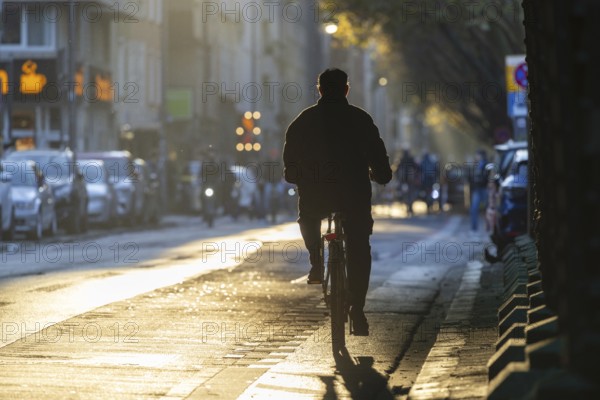 Cyclists in oblique sunlight in November, poor visibility, danger of glare, cycle lane, cyclists have priority over motor traffic, Cologne, North Rhine-Westphalia, Germany, Europe