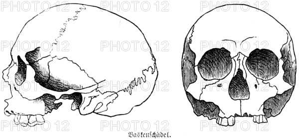 Skull of a Basque from the Iberian Peninsula, a half-length skull or mesocephal, front and side view, teeth, eye sockets, skullcap, anthropology, archaeology, history of mankind, Spain, historical illustration 1880, Europe