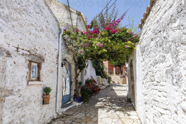 Alley decorated with flowers in the picturesque village of Afionas on the island of Corfu, Greece, Europe