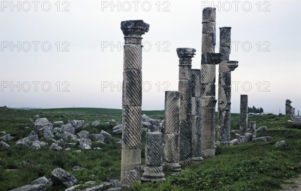 Ruins of Roman buildings at the archaeological site of Apamea, Syria, 1998, Asia