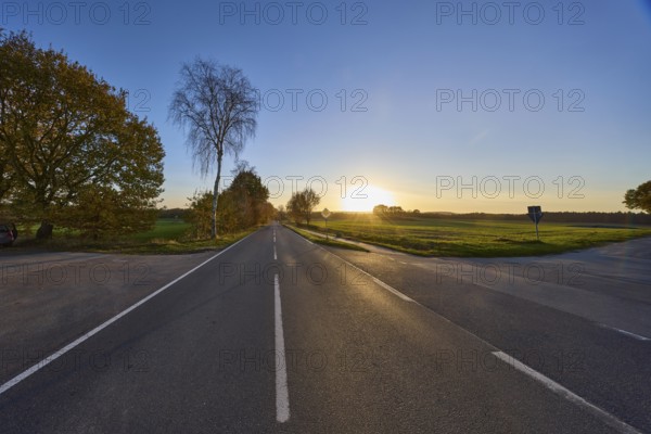 Country road, cycle path, trees, fields, backlight, sunset, intersection of country road L215 with Franz-Barca-Weg, Hanstedt in der Nordheide, Lüneburger Heide, district of Harburg, Lower Saxony, Germany, Europe