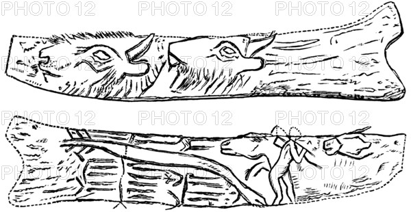 Decorated reindeer antlers, possible location the archaeological excavations of Abri de la Madeleine, Dordogne, animal representations, Early Stone Age, man, palaeontology, history of mankind, France, historical illustration1880, Europe