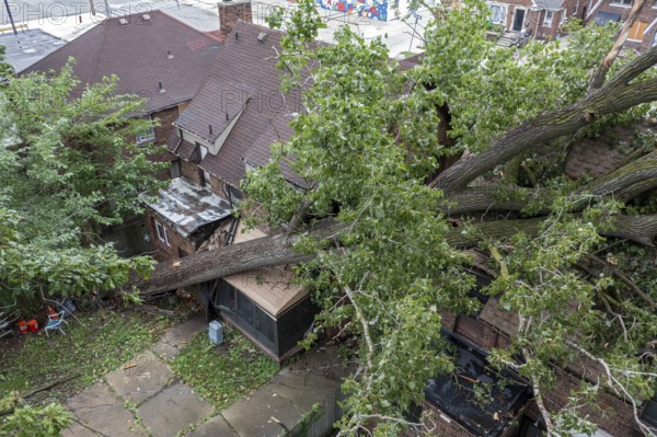 Detroit, Michigan, A storm with 70mph wind gusts blew down a 15-ton, 110-foot cottonwood, damaging three homes in the Morningside neighborhood. One homeowner had insurance, but the other two did not