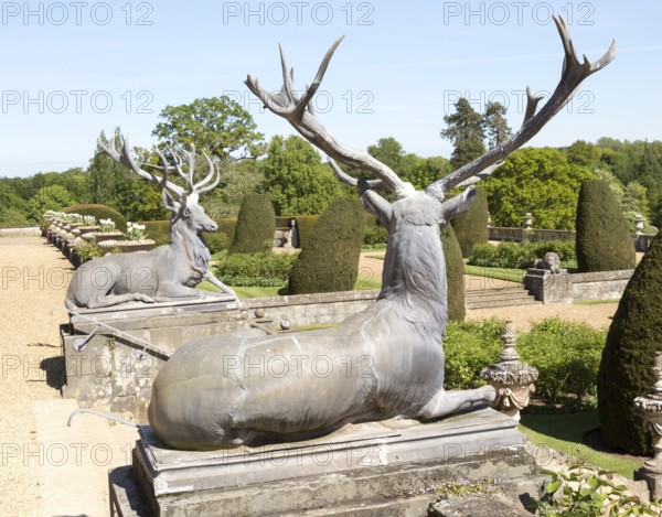 Deer stags sculpture terrace garden Bowood House and gardens, Calne, Wiltshire, England, UK