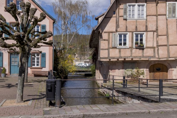 Residential buildings in the Quartier du Bruch on the Lauter Canal, Wissembourg, Alsace, France, Europe