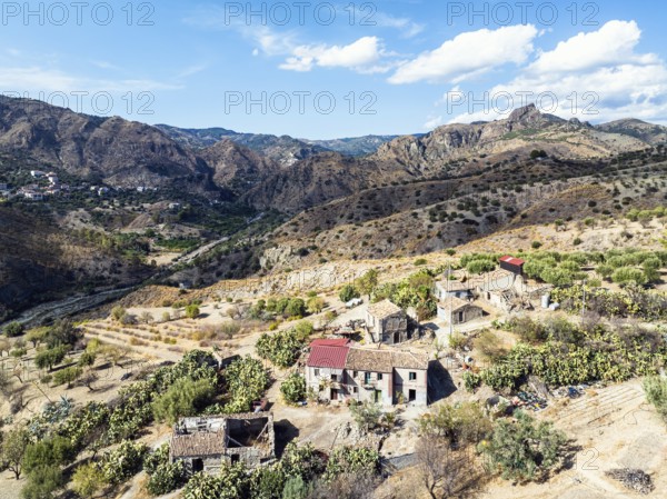 Mountains and Olive groves around Ghost Town from a drone, Pentedattilo Village, Calabria, Italy, Europe