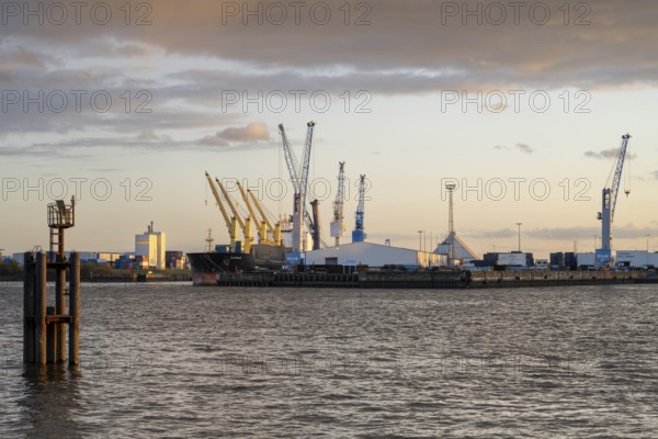 Cranes in the harbour, evening light, South-West Terminal, Elbe, Hamburg, Germany, Europe