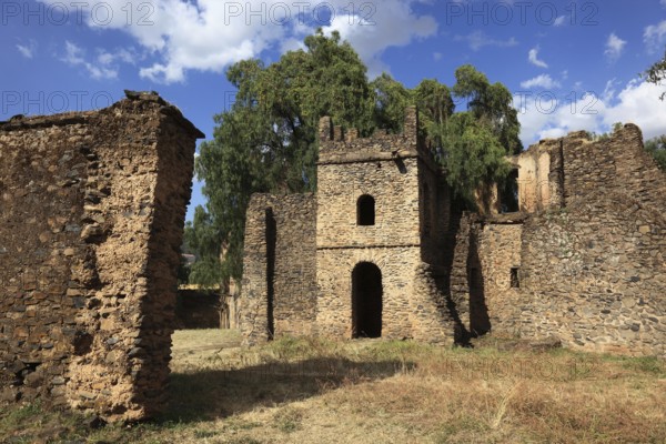 Amhara region, in the Gemp palace complex in Gondar, Gonder, UNESCO, world, heritage, cultural heritage, Ethiopia, Africa