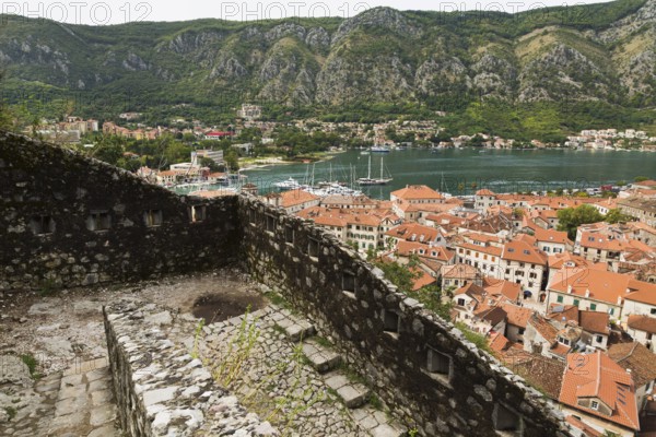 High angle view of walled mountainside walking trail, apartment buildings and houses covered with traditional terracotta clay roof tiles plus view of the bay, Old Town of Kotor, Montenegro, Europe