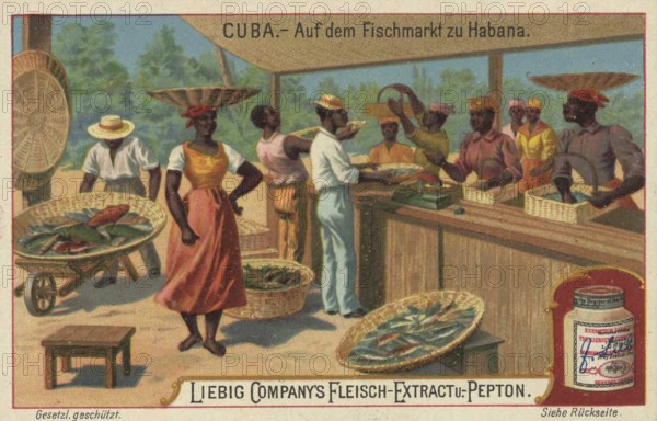 Picture series Scenes from Cuba, At the fish market of Havana, Liebig picture, digitally restored reproduction of a collector's picture from ca 1900, public domain, exact date unknown, Lively fish market in Habana with merchants and customers selling fish and other goods