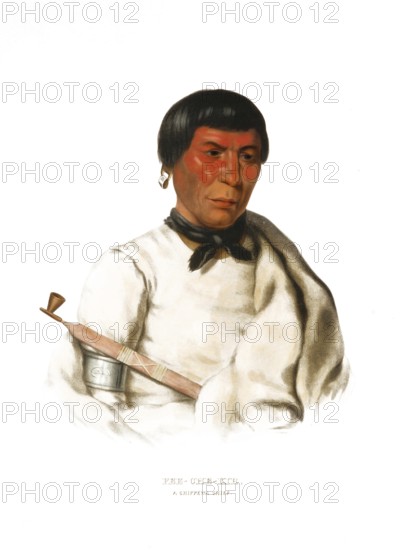 American Indian, Native American, Pee-Che-Kir, Chief of the Chippewa tribe, United States of America, USA, Painting by Charles Bird King (1785, 1862), c. 1840, Historic, digitally restored reproduction from a 19th century original, Record date not stated, North America