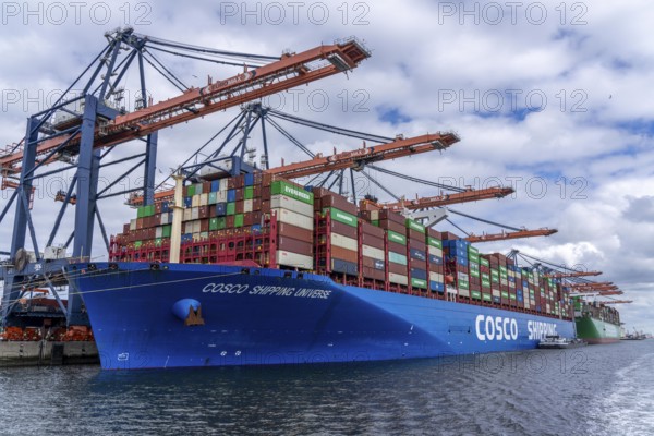 Euromax Container Terminal, container freighter Cosco Shipping Universe being loaded and unloaded, seaport of Rotterdam, deep sea harbour Maasvlakte 2, on an artificial land area, Netherlands