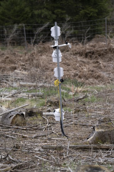 Weather station, collects weather data, in the Arnsberg Forest nature park Park, over 70 per cent of the spruce trees are diseased, damaged, mostly by the bark beetle, which was able to spread due to drought and heat, climate change, near Hirschberg, North Rhine-Westphalia, Germany, Europe