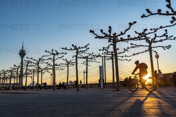 Rhine promenade, Rhine bank at the old town of Düsseldorf, Rhine knee bridge, Rhine tower, cycle path, footpath, spring, bare trees, sunset, North Rhine-Westphalia, Germany, Europe