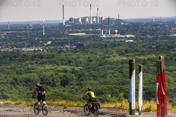 The Haniel spoil tip, 185 metre high spoil tip, at the Prosper Haniel mine, which was shut down in 2019, artwork Totems by the sculptor Augustin Ibarrola, mountain bikers, in the background the UNIPER Scholven coal-fired power plant in Gelsenkirchen, Bottrop, Germany, Europe