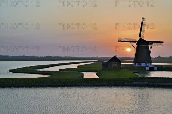 Historic windmill in the light of the setting sun, De Traanroeier, Het Noorden Molen, Texel, North Holland, Netherlands