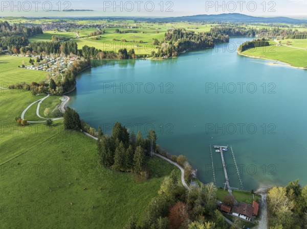 Aerial view of lake Forggensee, near Dietringen, Ammergauer Alpen, Allgaeu, Bavaria, Germany, Europe