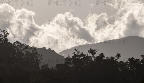 Clouds over cloud forest, mountain rainforest, Parque Nacional Los Quetzales, Costa Rica, Central America