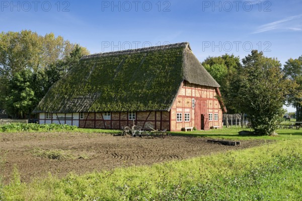 Historic Selmsdorf farmhouse, Klockenhagen open-air museum, historic Mecklenburg village, Mecklenburg farmhouses, Klockenhagen, Mecklenburg-Western Pomerania, Germany, Europe