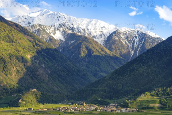 View of the village of Morter with the mountains of the Stelvio National Park behind it, evening mood, Goldrain, Latsch, Vinschgau, South Tyrol, Italy, Europe