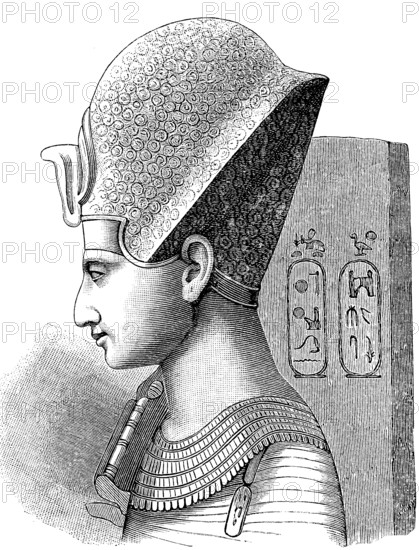 Ramses II, also known as Ramses the Great, c. 1303 BC, 27 June 1213 BC, was the third ancient Egyptian king, pharaoh, of the 19th dynasty of the New Kingdom, head of the statue in Turin, Italy, in 1880, Historical, digital reproduction of an original from the 19th century, Europe