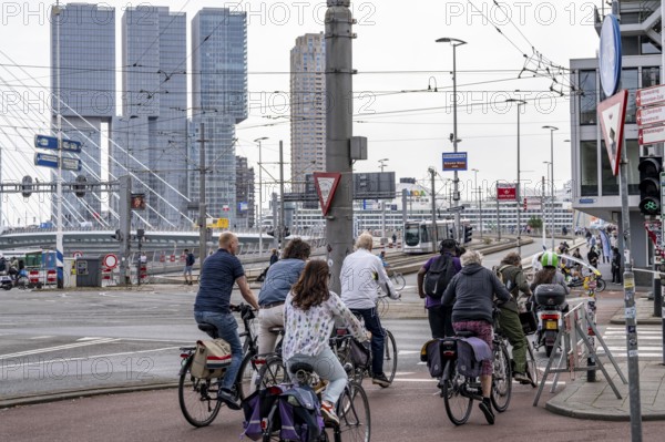 Cyclist on cycle path in front of the Erasmus Bridge over the Nieuwe Maas, skyline of skyscrapers on the Kop van Zuid, Rotterdam, Netherlands