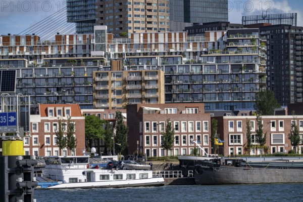 Harbour basin of the Maashaven, inland waterway port, jetties, residential buildings in the Kop van Zuid and Katendrecht district, almost all buildings have been built or rebuilt in recent years, popular residential area, structural change, Rotterdam, Netherlands