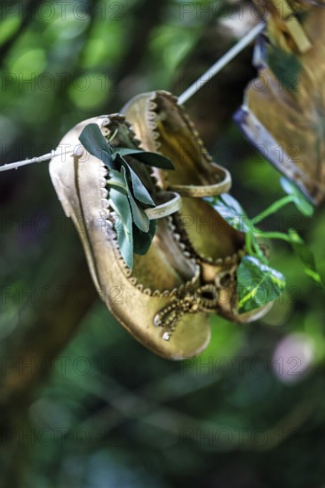 Children's shoes, shoes hanging on a washing line in the woods, vintage, decoration, Lost Gardens of Heligan, Cornwall, England, Great Britain