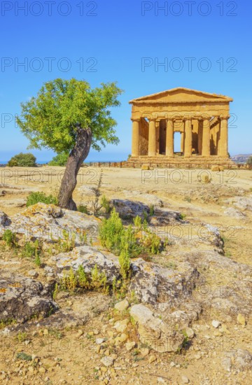 Temple of Concordia, Valley of Temples, Agrigento, Sicily, Italy, Europe