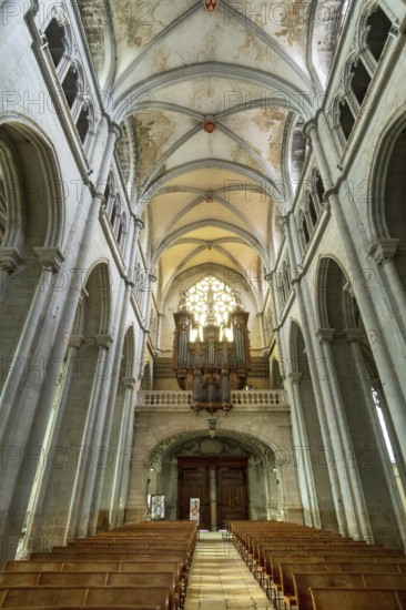 Saint-Antoine l'Abbaye labeled Les Plus Beaux Villages de France. Interior of the Abbey Church built from the 12th to the 15th century. Isere. Auvergne-Rhone-Alpes. France