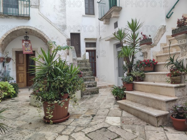 A quiet alley with plant pots and stone steps, surrounded by traditional buildings, old town centre of Locorotondo, Apulia, Italy, Europe