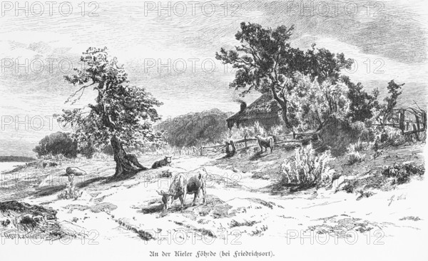 Kiel Fjord near Kiel, district Friedrichsort, rural, cottage with thatched roof, cows grazing, sandy path, Schleswig-Holstein, Germany, historical illustration 1880, Europe