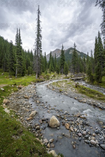 Green mountain valley with forest and mountain stream, Chong Kyzyl Suu Valley, Terskey Ala Too, Tien-Shan Mountains, Kyrgyzstan, Asia