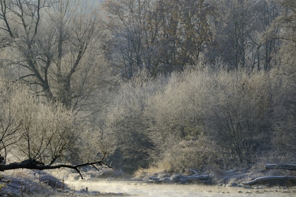 River landscape in winter with hoarfrost, wafts of mist over the river, North Rhine-Westphalia, Germany, Europe