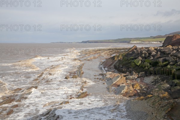 Erosional coastline with tilted sedimentary rock wave cut platform, Watchet, Somerset, England, United Kingdom, Europe