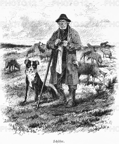 Shepherd, Mecklenburg-Western Pomerania, Germany, flock of sheep, grazing, profession, old man, staff, knitting, wool, dog, rural, historical illustration 1880, Europe