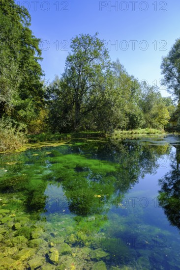 Aachtopf, blue spring pot, Aach spring, Urspring near Schelklingen, Swabian Alb, Baden-Württemberg, Germany, Europe