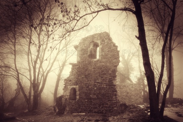 Church ruins in dense fog in winter, Petersberg Monastery near Halle, Saxony-Anhalt, Germany, Europe