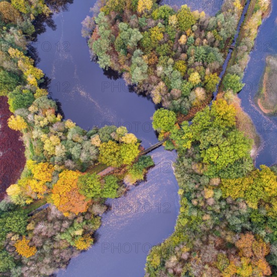 Mixed forest in autumn, colouring, aerial view, forest, autumnal, Ahlhorn fish ponds, Niedersächsische Landesforst, Ahlhorn, Lower Saxony, Germany, Europe