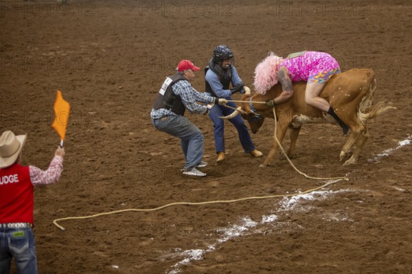 Oklahoma City, Oklahoma, The Great Plains Rodeo, an annual gay rodeo that features traditional rodeo competition while emphasizing the camaraderie of the LGBTQ community. In Wild Drag Racing three people must pull a steer across a while line and then the competitor in drag must ride it back across the line