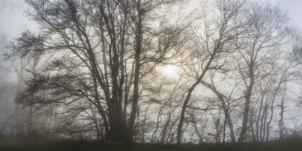 Sunrise, Upper Danube nature park Park, Swabian Alb, Baden-Württemberg, Germany, Europe