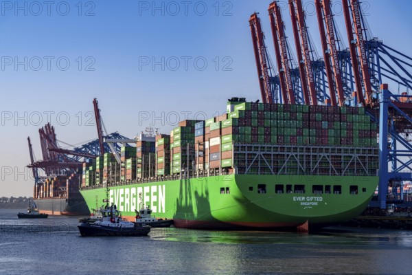 Container ship Ever Gifted, arriving at the port of Hamburg, Waltershofer Hafen, HHLA Container Terminal Burchardkai, 4 harbour tugs manoeuvre the ship to the quay, shipping company Evergreen, Singapore, 399 m long, can transport over 20, 000 containers, Hamburg, Germany, Asia