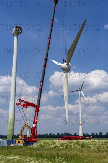 Repowering of a wind farm near Issum, 9 older wind turbines from the manufacturer Enercon (model series E-58) will be dismantled, which have been in operation for over two decades, will be replaced by a total of four Enercon E-160 turbines, under construction, with a total output of 22 megawatts, Lower Rhine, North Rhine-Westphalia, Germany, Europe